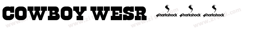cowboy wesr字体转换